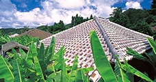 沖縄県大宜味村