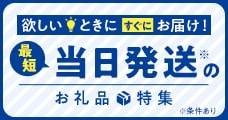 最短当日発送のお礼品特集