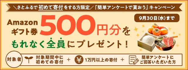 2020年9月度 さとふるで初めて寄付をする方限定『簡単アンケートで貰おう』キャンペーン
