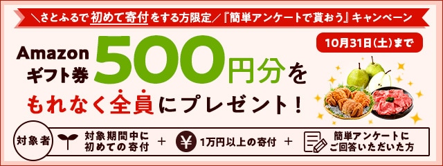 2020年10月度 さとふるで初めて寄付をする方限定『簡単アンケートで貰おう』キャンペーン