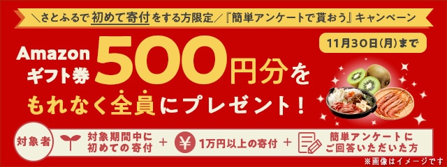 2020年11月度 さとふるで初めて寄付をする方限定『簡単アンケートで貰おう』キャンペーン