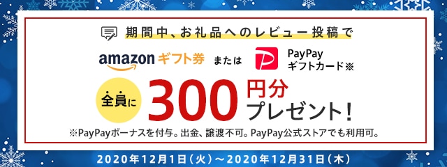 レビュー投稿キャンペーン2020年12月度