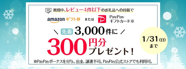 レビュー投稿キャンペーン2021年1月度