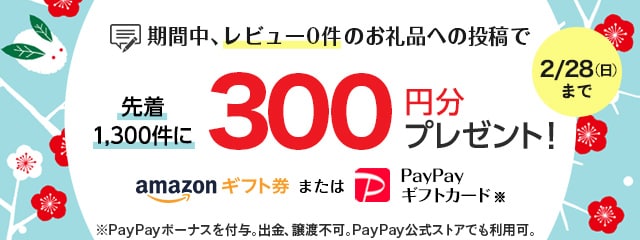 レビュー投稿キャンペーン2021年2月度
