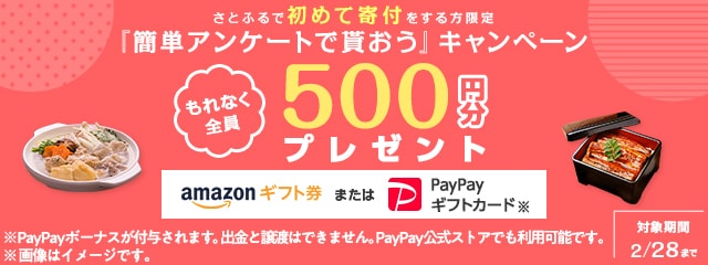 2021年2月度 さとふるで初めて寄付をする方限定『簡単アンケートで貰おう』キャンペーン