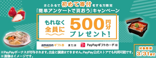 2021年3月度 さとふるで初めて寄付をする方限定『簡単アンケートで貰おう』キャンペーン