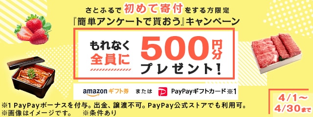 2021年4月度 さとふるで初めて寄付をする方限定『簡単アンケートで貰おう』キャンペーン