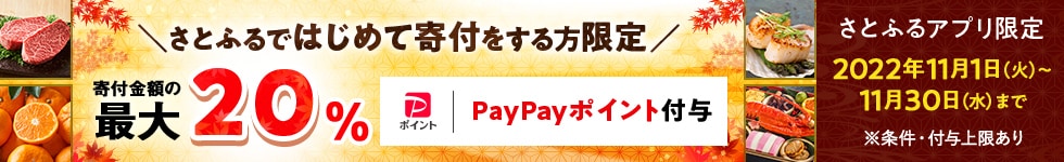 2022年11月 さとふるではじめて寄付をする方限定!寄付金額の最大20%PayPayポイント付与