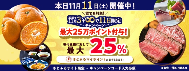 2023年11月 【さとふるサイト限定】3＋8で11日限定キャンペーン