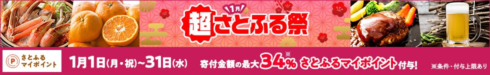 超さとふる祭!1月1日(月・祝)~31日(水)は寄付金額の最大34%PayPayポイント付与!※条件・付与上限あり
