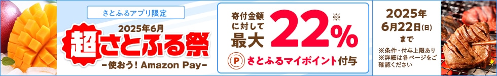 2025年6月 超さとふる祭