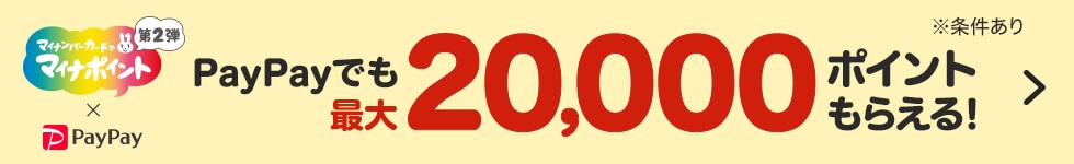 マイナポイント×PayPay PayPayでも最大20,000ポイントもらえる!