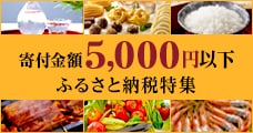 寄付金額5,000円以下特集
