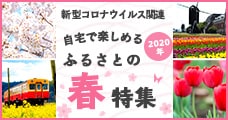 自宅で楽しめる、2020年ふるさとの春特集