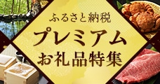 ふるさと納税 プレミアムお礼品特集
