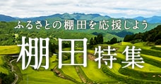 ふるさと納税で応援！棚田特集