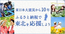 ふるさと納税で東北を応援しよう