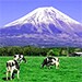 静岡県富士宮市
