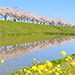 兵庫県小野市