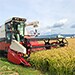 北海道妹背牛町