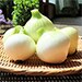 千葉県白子町