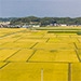 千葉県横芝光町