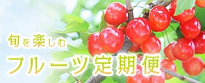 フルーツ定期便
