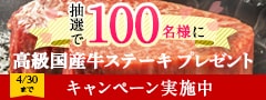 春のワクワクキャンペーン