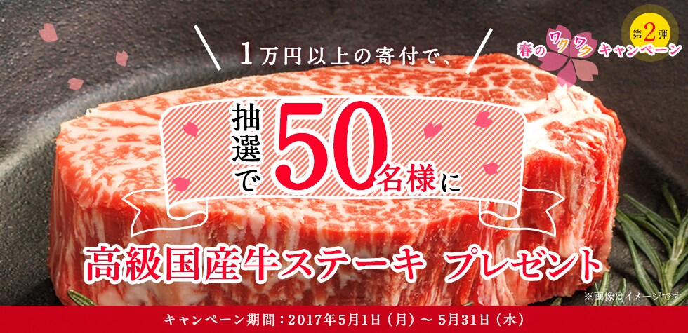 春のワクワクキャンペーン第2弾