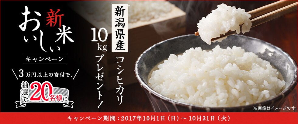 ふるさと納税 おいしい新米キャンペーン