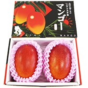 マンゴーの森　しあわせ完熟マンゴー　2玉入り