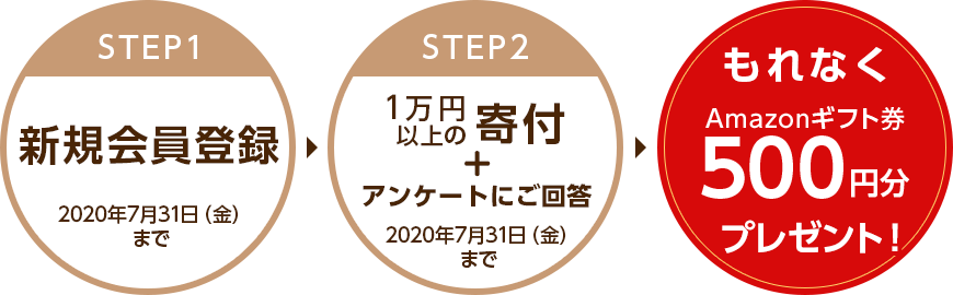 7月31日までに新規会員登録の上、1万円以上の寄付及びアンケートにご回答いただいた方にもれなくAmazonギフト券500円分をプレゼント！