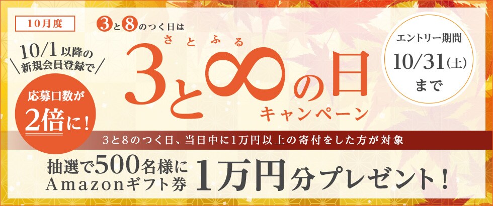 ふるさと納税 2020年10月度 さとふるの日キャンペーン