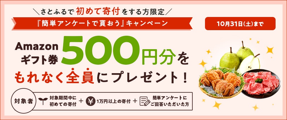 さとふるで初めて寄付をする方限定『簡単アンケートで貰おう』キャンペーン