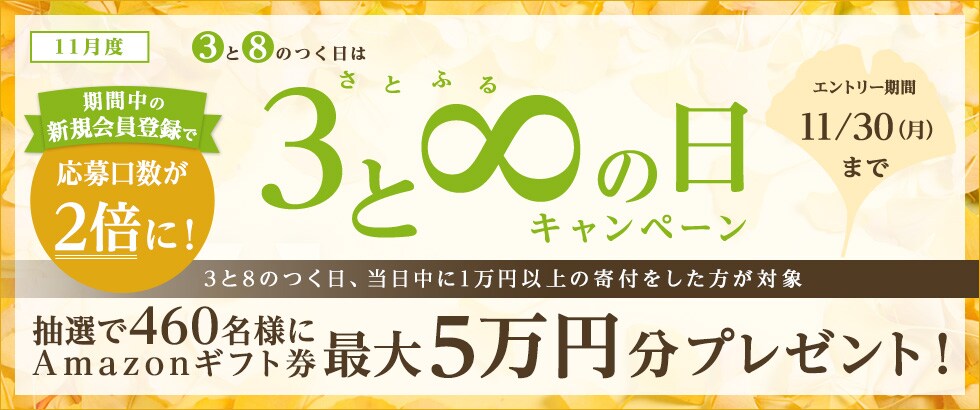 ふるさと納税 2020年11月度 さとふるの日キャンペーン