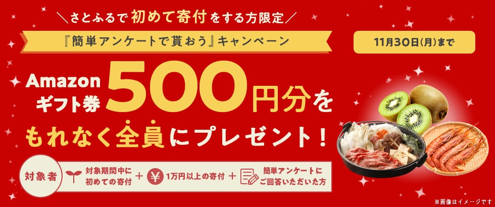 さとふるで初めて寄付をする方限定『簡単アンケートで貰おう』キャンペーン