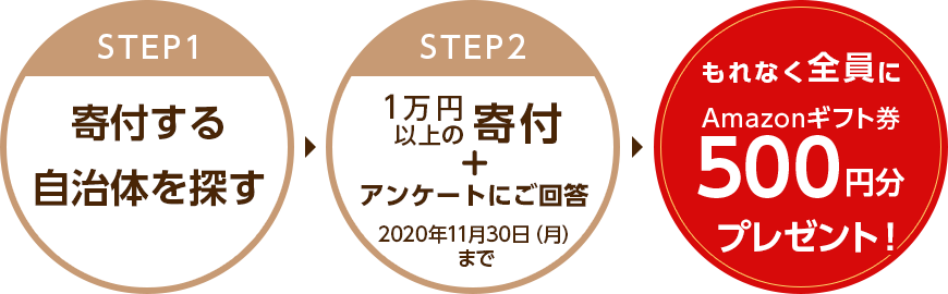 「Step1：寄付する自治体を探す」→「Step2：1万円以上の寄付＋アンケートにご回答（2020年11月30日（月）まで）」→「もれなく全員にAmazonギフト券500円分プレゼント！」