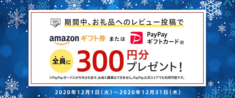 ふるさと納税 お礼品レビュー投稿キャンペーン2020年12月度