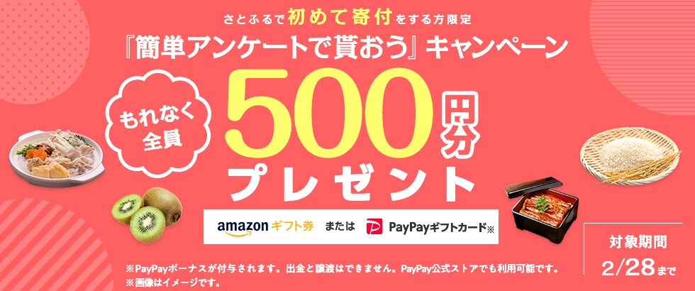 さとふるで初めて寄付をする方限定『簡単アンケートで貰おう』キャンペーン