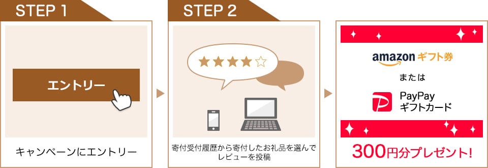 キャンペーンにエントリー 寄付受付履歴から寄付したお礼品を選んでレビューを投稿 Amazonギフト券またはPayPayギフトカード300円分プレゼント!