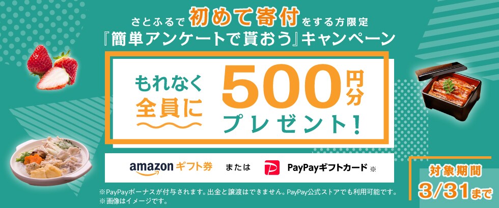 さとふるで初めて寄付をする方限定『簡単アンケートで貰おう』キャンペーン