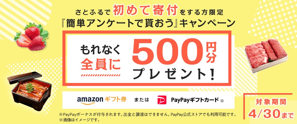 さとふるで初めて寄付をする方限定『簡単アンケートで貰おう』キャンペーン