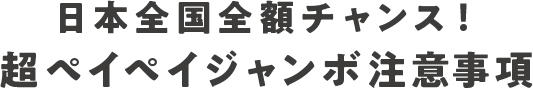日本全国全額チャンス！超ペイペイジャンボ注意事項