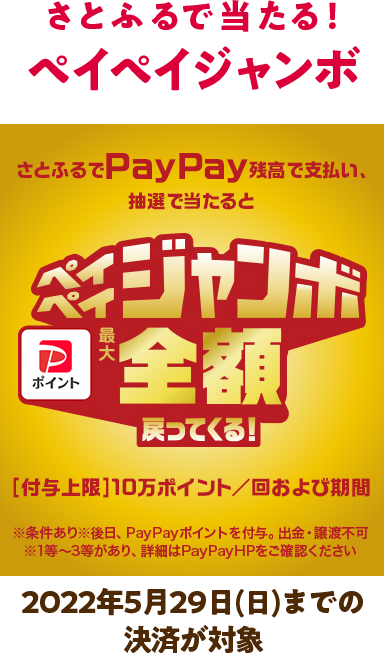 さとふるで当たる！ペイペイジャンボ