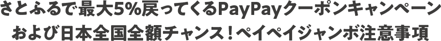 さとふるで最大5%戻ってくるPayPayクーポンキャンペーンおよび日本全国全額チャンス！ペイペイジャンボ注意事項