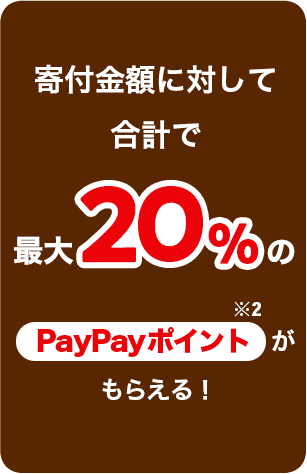 寄付金額に対して合計で最大20%のPayPayポイントがもらえる！