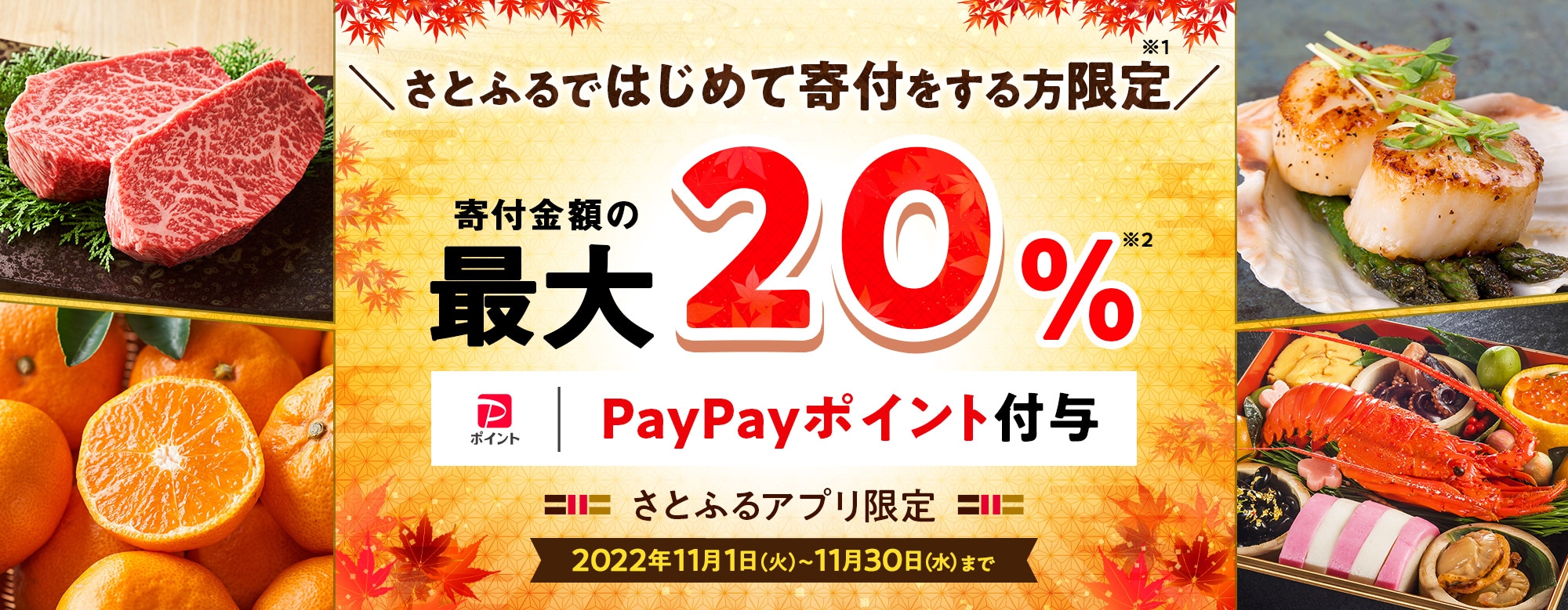 2022年11月 さとふるではじめて寄付をする方限定!寄付金額の最大20%PayPayポイント付与