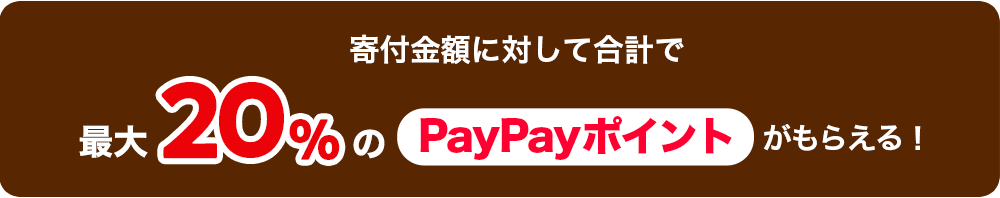 寄付金額に対して合計で最大20%PayPayポイントがもらえる