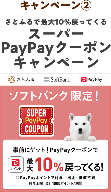 キャンペーン②スーパーPayPayクーポンキャンペーン