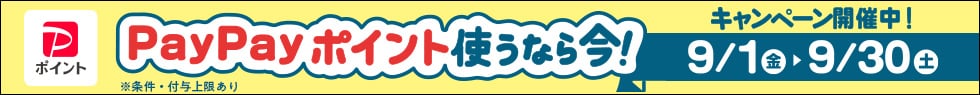PayPayポイント使っておトクキャンペーン